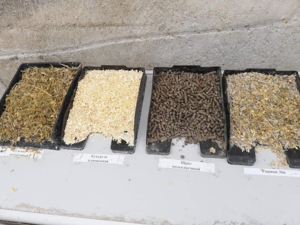 Посещение Ярмарки "Родео-Мираторг"