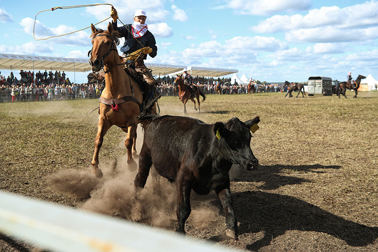 Посещение Ярмарки "Родео-Мираторг"