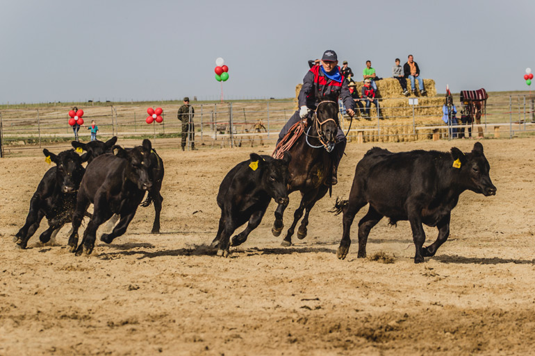 Посещение Ярмарки "Родео-Мираторг"